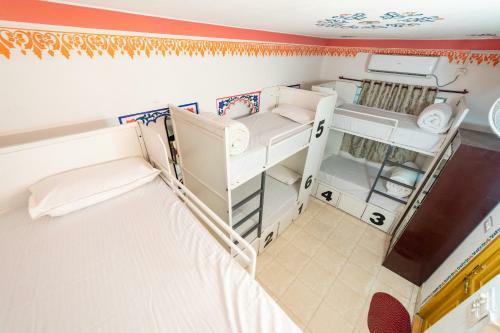 Hotel Backpacker Panda Udaipur