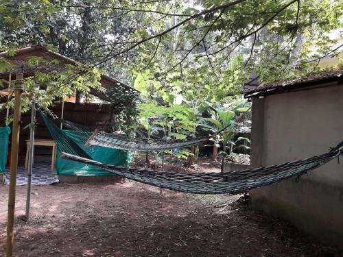 Archana Beach Homestay Varkala