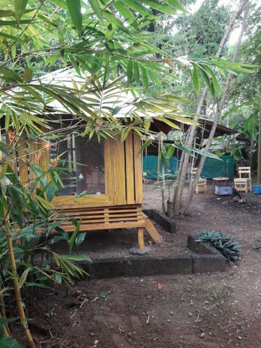 Archana Beach Homestay Varkala