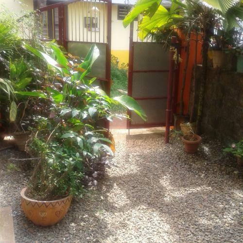 Hostal Baby House