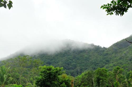 Sanjose Holiday Home Resort,virajpet