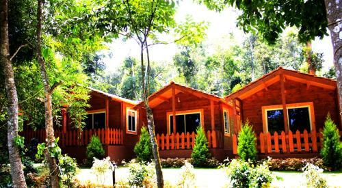 Oyo 26892 Coorg Amodhini Wood Cottage Suits