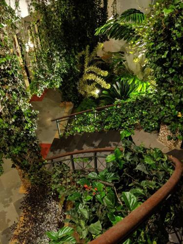 Hotel Amritara Ambatty Greens Resort
