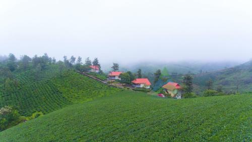 Hotel Cocoon By Astral Inn