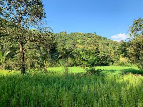Mountain View 4bhk Villa In Mulshi