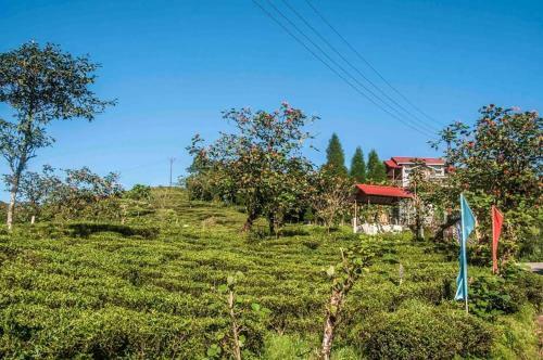 Agroturismo Vamoosetrail Mahal Diram