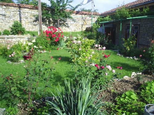 Hostal Vanda Guest House