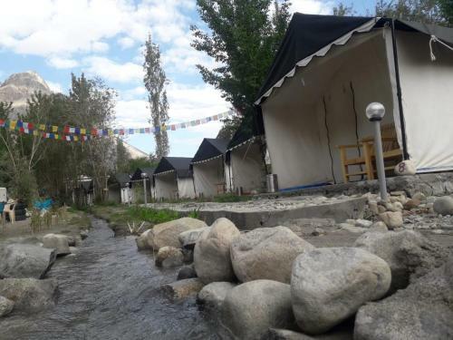 Nubra Pika Camp