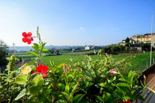 Bed & Breakfast Le Vigne Sull?adda