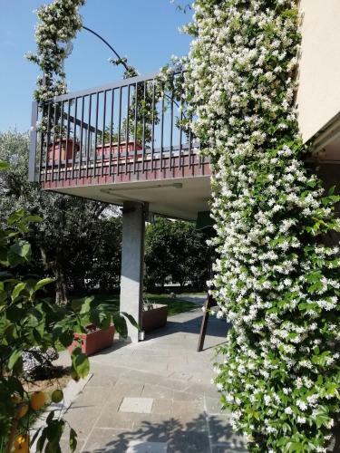 B&B Boutique Villa Terry