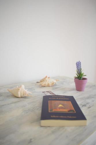 Apartamento Welc-om Nino's