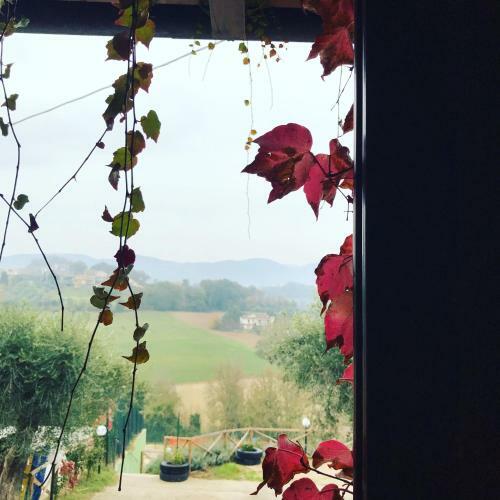 Agroturismo Il Pozzo Country House
