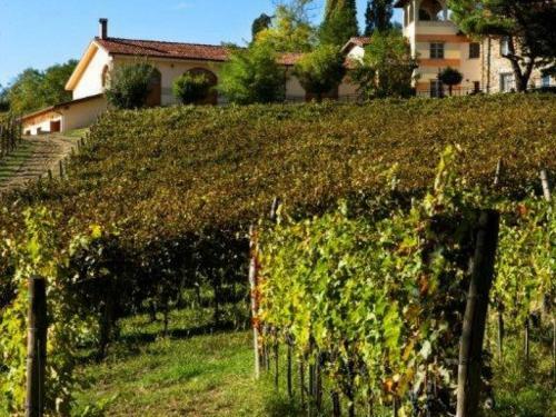 Cremolino Villa Sleeps 19 Pool Wifi