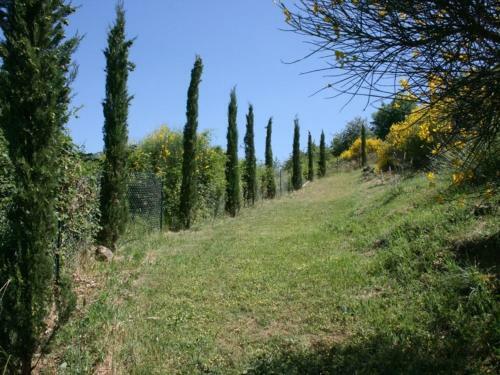 Piaggia Di Sopra Villa Sleeps 2 Pool Air Con Wifi