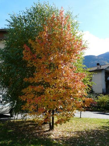 Bed & Breakfast La Casa Di Clara