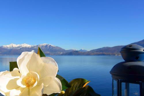 Apartamento Yachting Residence