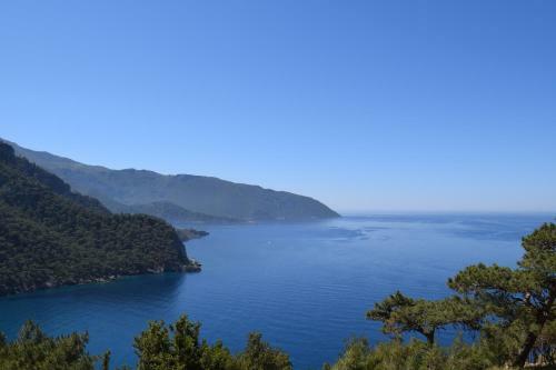 Lodge Kabak Avalon Bungalows