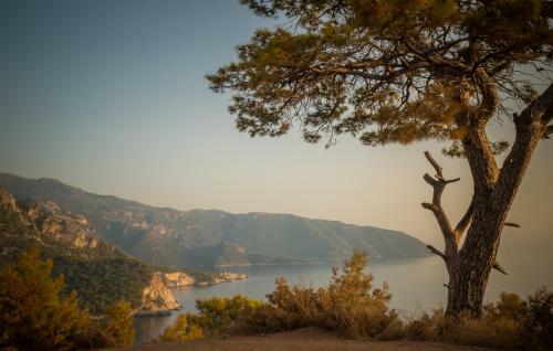 Lodge Kabak Avalon Bungalows
