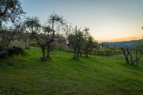 Hotel La Rimbecca Greve In Chianti