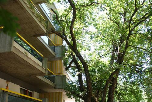 Apartments Sole & Querce