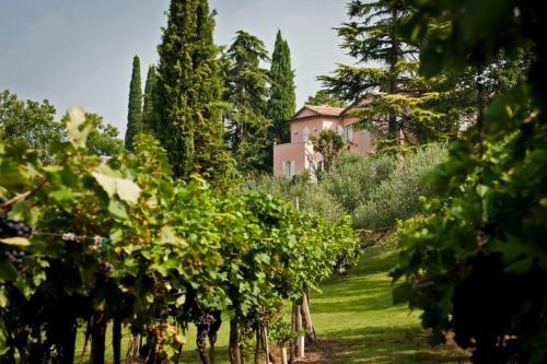 Lazise Villa Sleeps 14 Pool Air Con Wifi