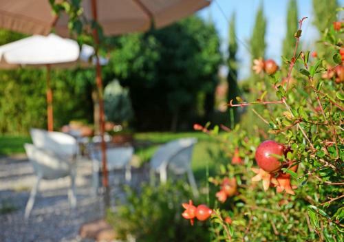 Apartamento Jardin Bleu