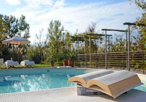 Apartamento Jardin Rose