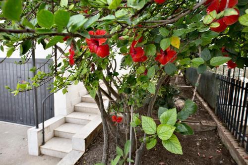 Apartamento Casa Sanremo