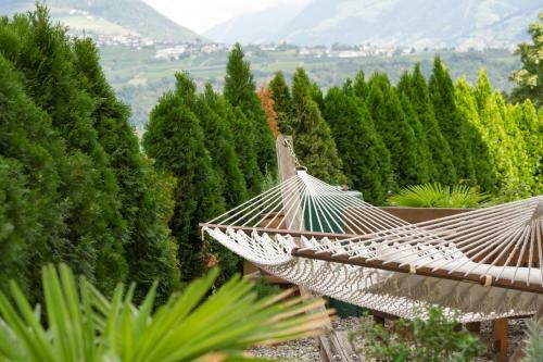 Bed & Breakfast Garden-suite Faselehof