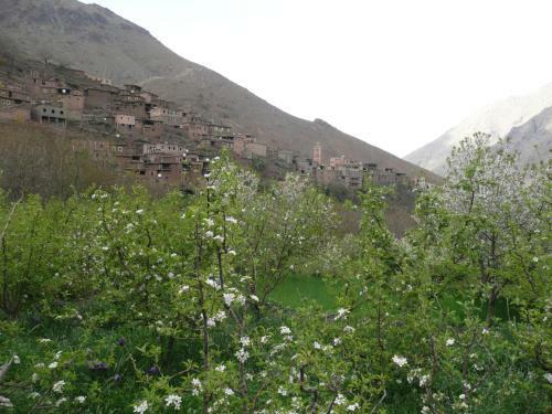 Bed & Breakfast G�te Atlas Mazik