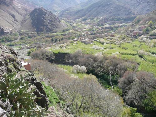 Bed & Breakfast G�te Atlas Mazik