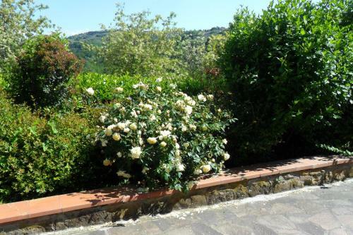 Montaione Apartment Sleeps 5 Pool Wifi
