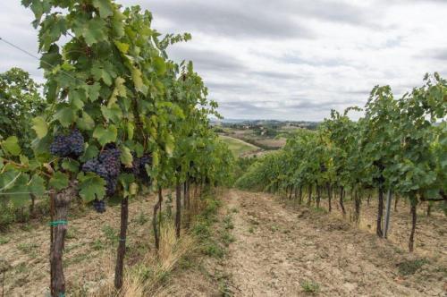 Agroturismo Relais Pugliano