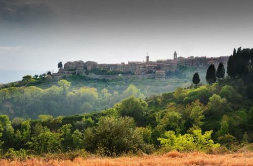 Monteleone D'orvieto Apartment Sleeps 6 Pool Wifi