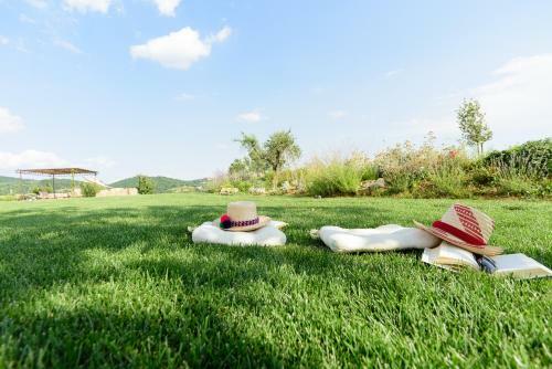 Agroturismo Agriturismo Casa Antheia