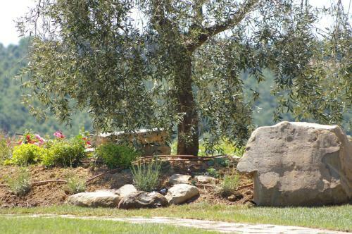 Agroturismo Agriturismo Casa Antheia