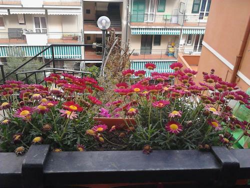 Apartamento Appartamentino Nadia