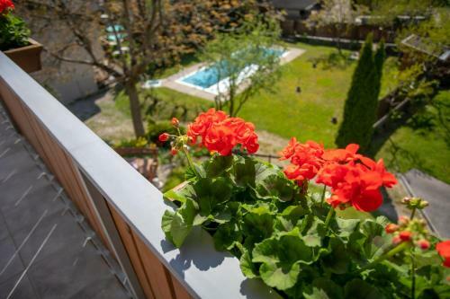 Bed & Breakfast Garni Schmiedhof
