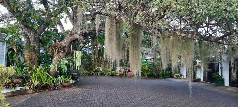 Hostal St. Lucia Wetlands Guest House