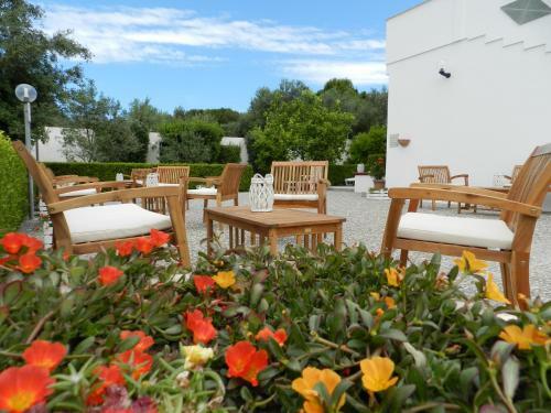 Agroturismo Agriturismo La Rondine