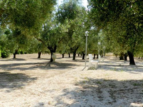 Agroturismo Agriturismo La Rondine