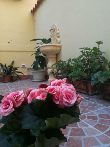 Bed & Breakfast Le Rose Del Viale