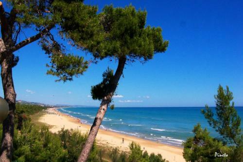 Apartamento Orchidea 2 Pineto Vacanza