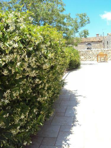 Apartamento Masseria Sant'elia