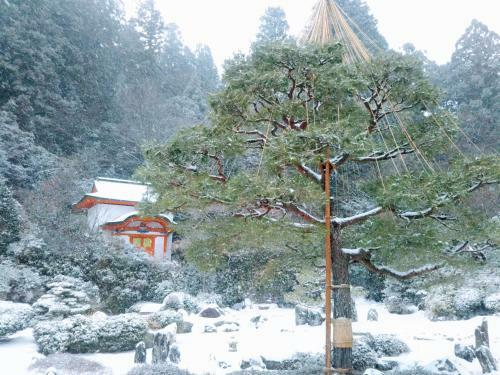 Hostal Koyasan Shukubo Sainanin