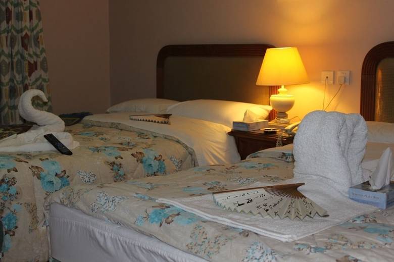 Hotel Plaza Maswada