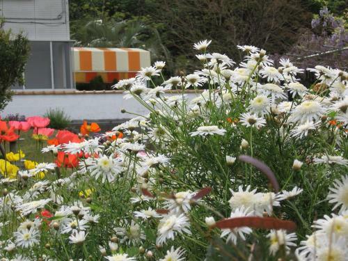 Hostal Hillside Inn Sirocco