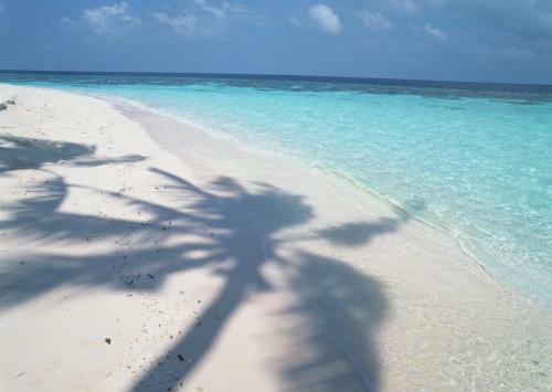 Hotel Petit Resort Native Sea Amami