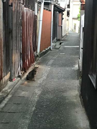 Kinoyado Shinyashiki