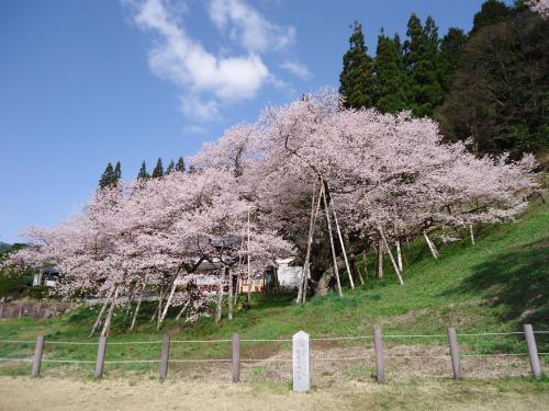 Apartamentos Establishment Takayama